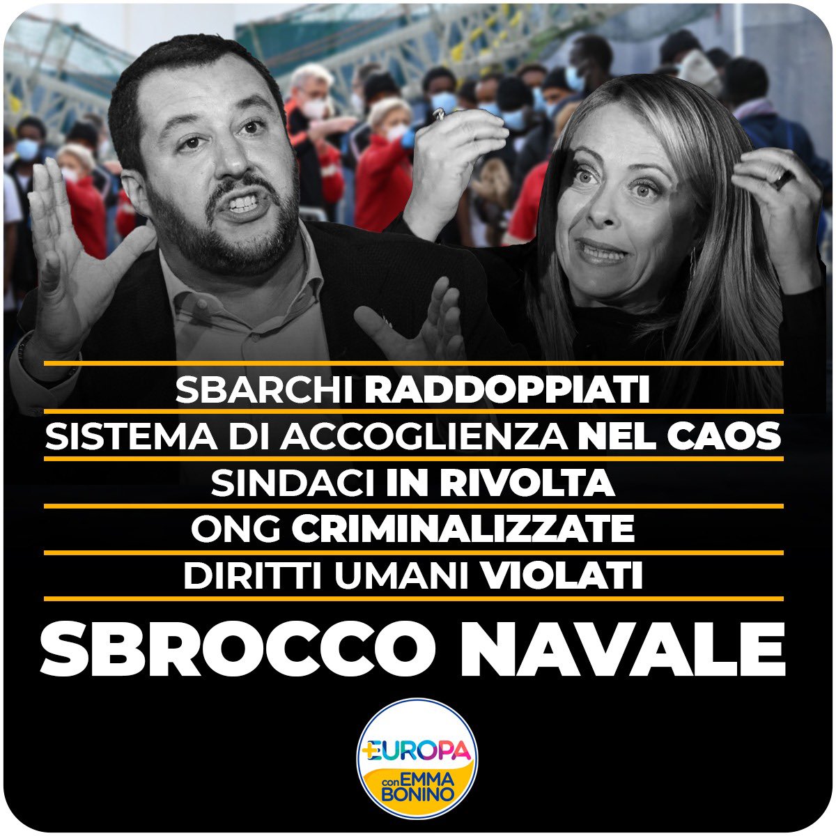 Più Europa tweet media