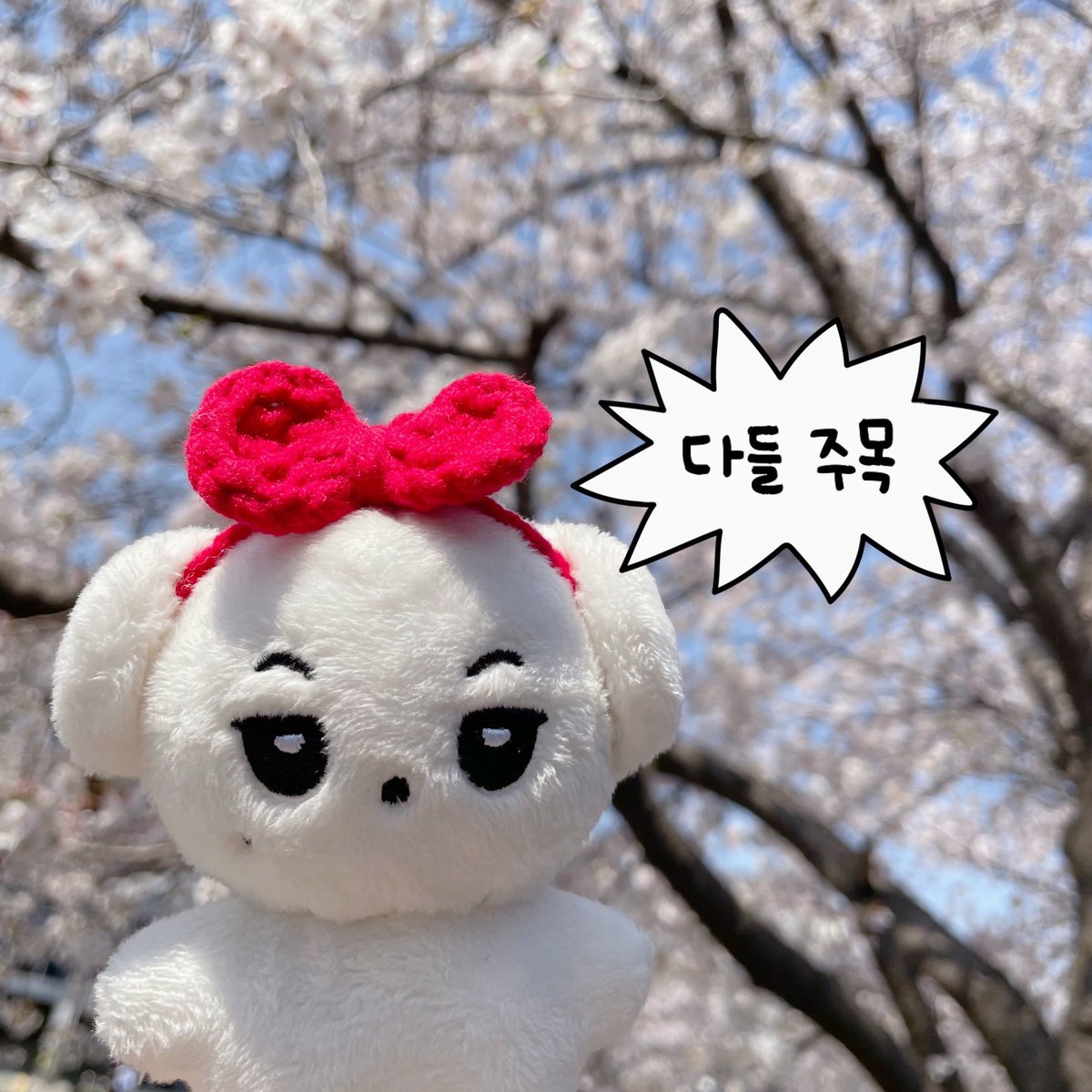 aikimoong's tweet photo. 키뭉이 재고판매🐾

🗓️ 08.28 PM 09:07 ~ 재고 소진시까지
🔗 https://t.co/IQME7YtLip

반드시 윗치폼 공지를 확인 후 구매해주시길 바랍니다.
#아이키 #AIKI https://t.co/RsqjK7vFfE