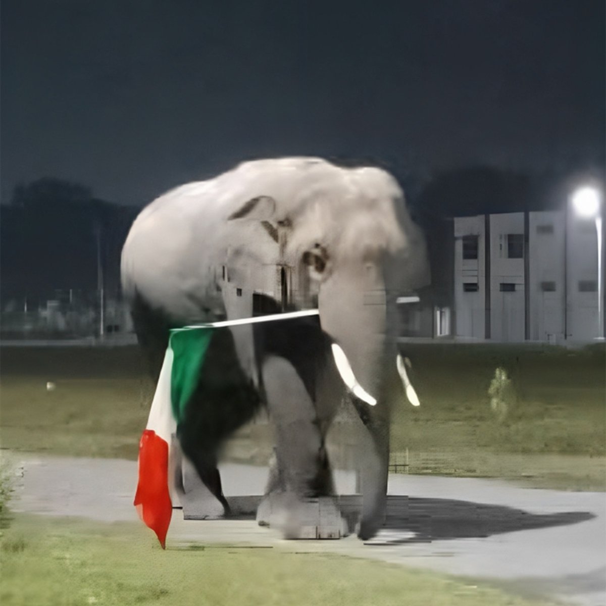 easterncomd's tweet photo. #IndianArmy 
Carrying the tri-colours, wild elephant comes calling at a unit of @GajrajCorps_IA. Great example of peaceful coexistence of men and wildlife in cantonments and a lucky click for a budding photographer. Captions for this please !!
@adgpi
@SpokespersonMoD

Facebook - https://t.co/AyLCgn461p
Instagram - https://t.co/wUWecxx6kO