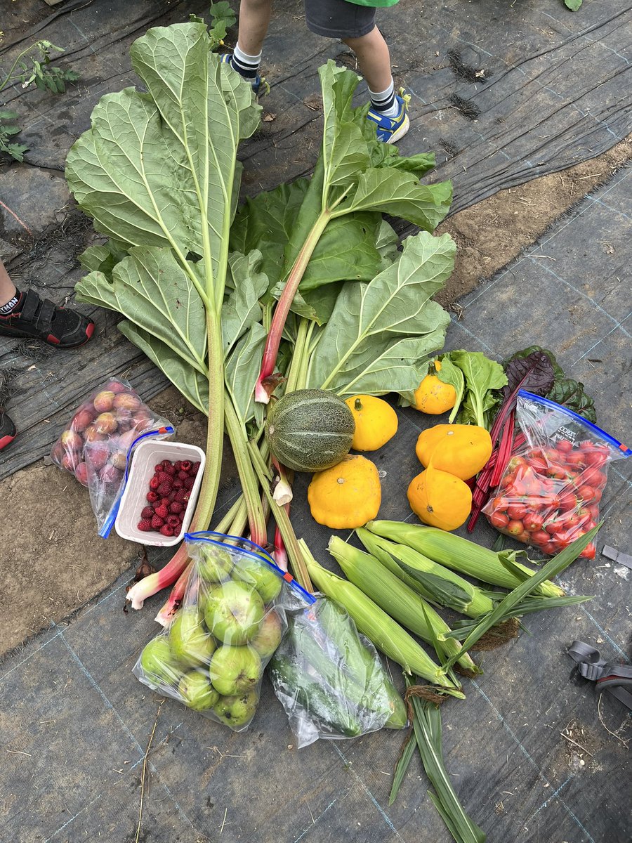 Mead Outside tweet media