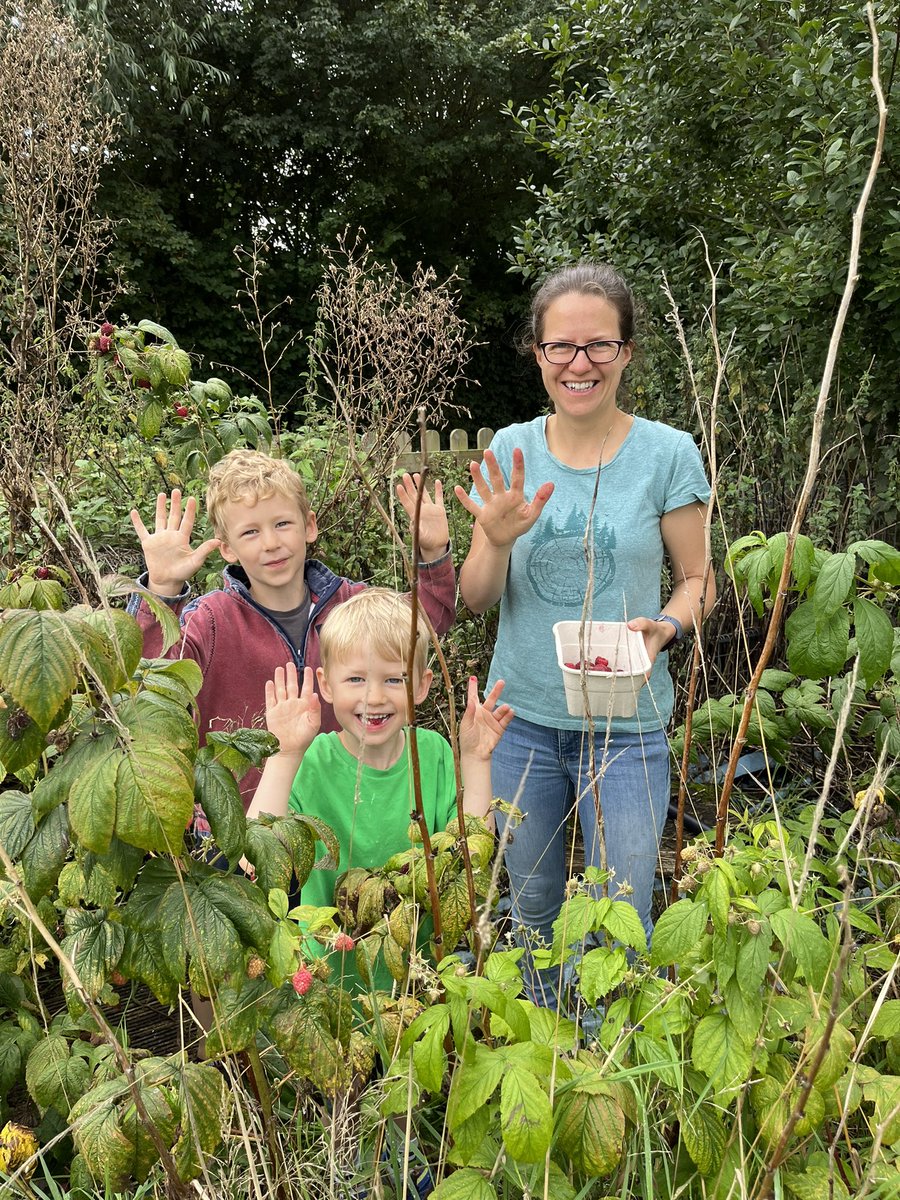 Mead Outside tweet media