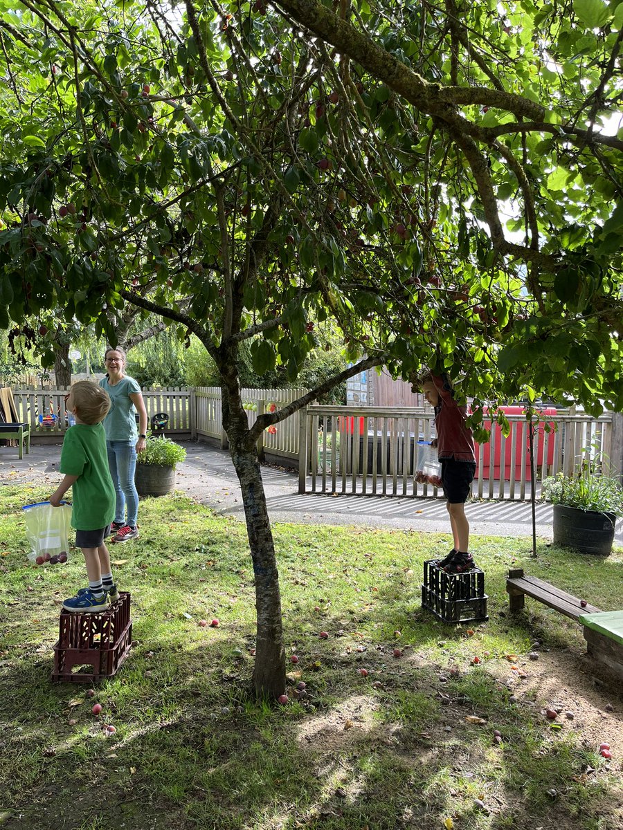 Mead Outside tweet media