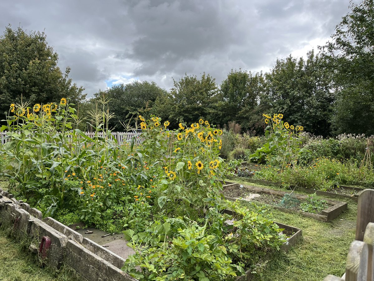 Mead Outside tweet media