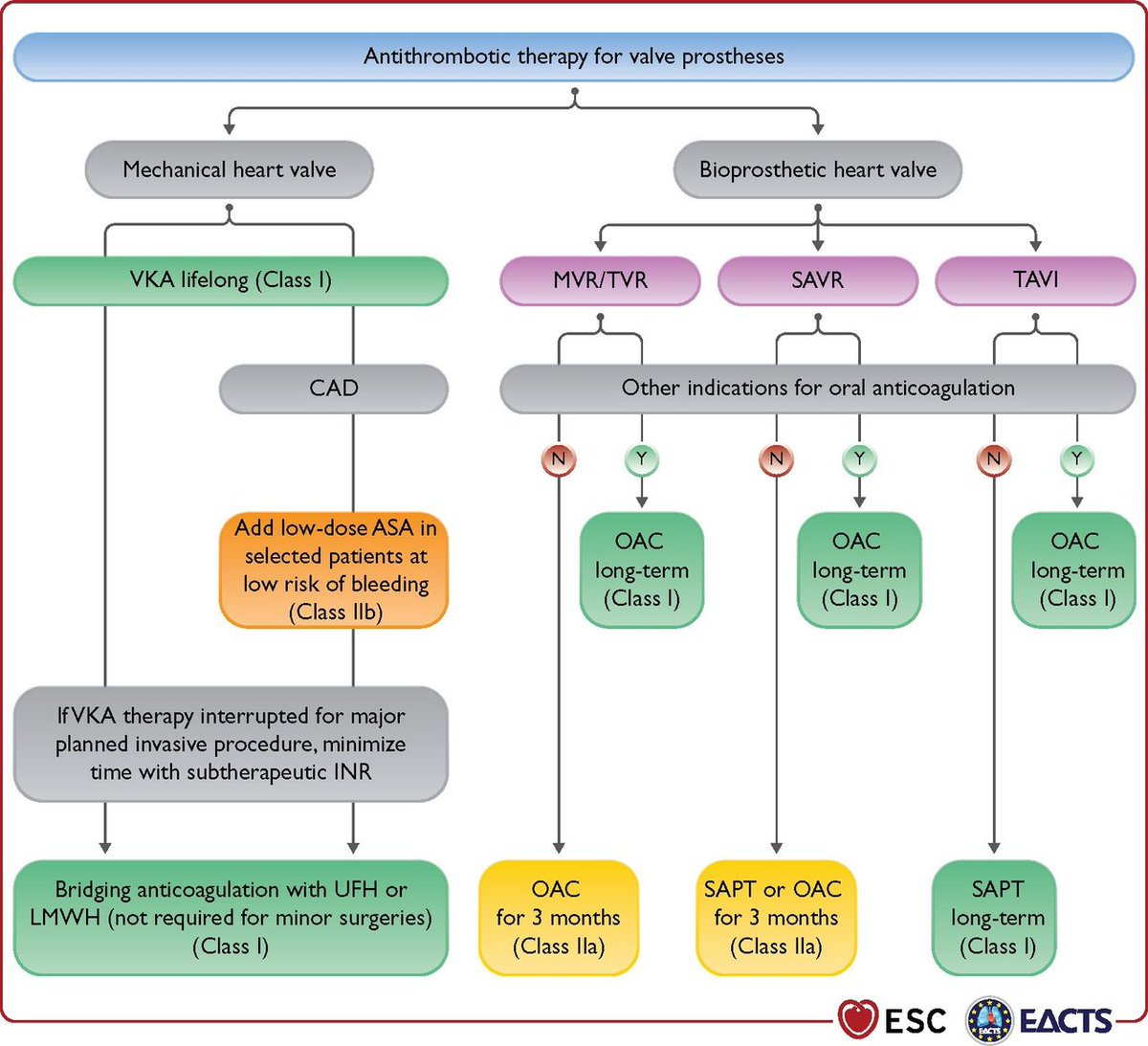 Antithrombotic therapy after heart valve intervention: review of mechanisms, evidence and current guidance heart.bmj.com/content/early/…