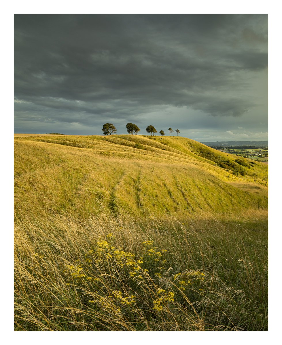 A bit greener before the sunset light hit…..watch this space!! 
#moretocome @WiltshireLife @WiltshireNews #RoundwayDown #OliversCastle #Devizes #Wiltshire #timeforwiltshire #WexMondays #Kase #Benro #Gitzo