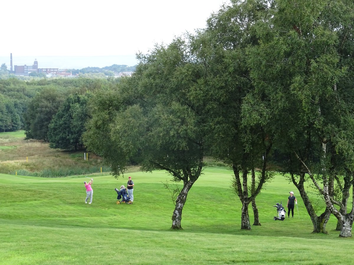 Alice Barlow tweet media