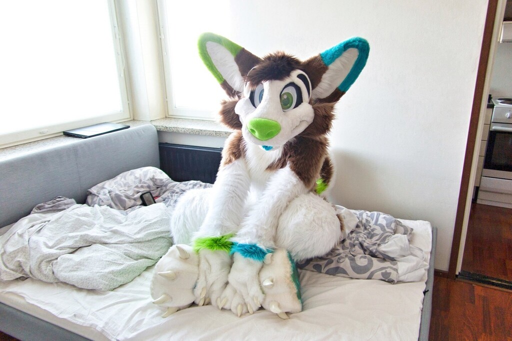 cute_fursuits's tweet photo. join the bed? credit: @NowiHusky https://t.co/48dcRluQm5