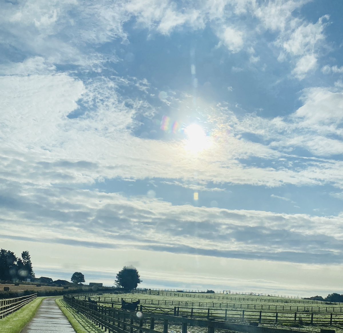 bpowell13's tweet image. Yet another beautiful morning at Howe Hills. Great to get a lot of the horses turned out for the day. @RebeccaEMenzies #happyhorses #winners