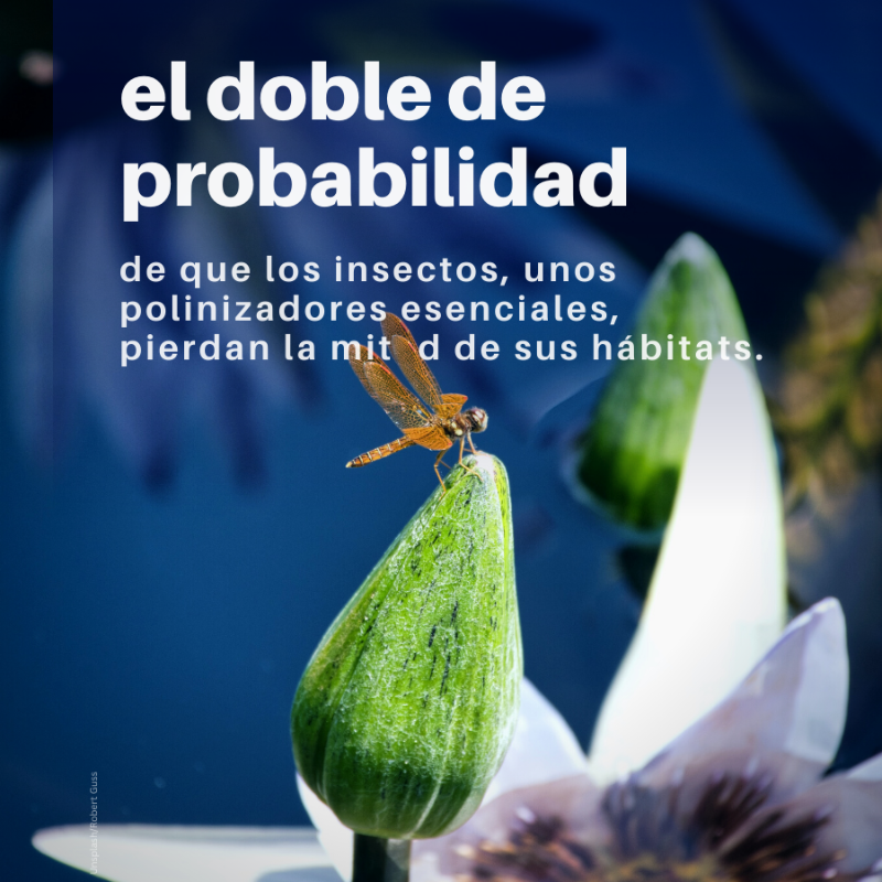 unep_espanol's tweet photo. La ciencia es clara.

El mundo se encuentra en una situación de emergencia climática y no podemos quedarnos de brazos cruzados.

#AcciónClimática AHORA.

📢📢📢