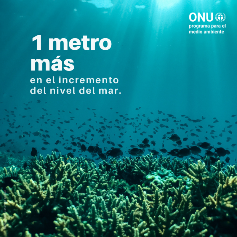 unep_espanol's tweet photo. La ciencia es clara.

El mundo se encuentra en una situación de emergencia climática y no podemos quedarnos de brazos cruzados.

#AcciónClimática AHORA.

📢📢📢