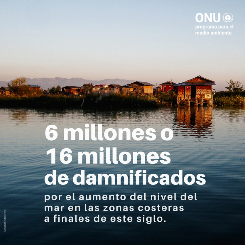 unep_espanol's tweet photo. La ciencia es clara.

El mundo se encuentra en una situación de emergencia climática y no podemos quedarnos de brazos cruzados.

#AcciónClimática AHORA.

📢📢📢