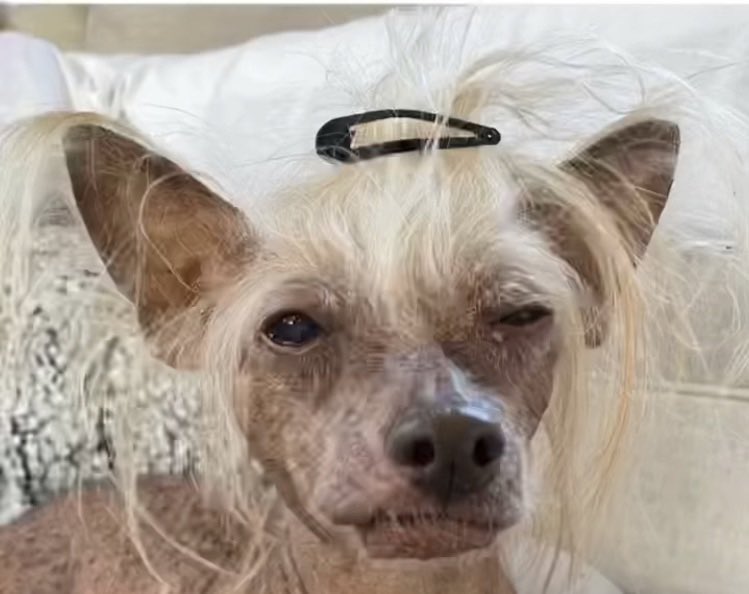 La forma en la que pasé de ser un tornado emocional que acababa con todo a su paso a estar totalmente desconectada de mis emociones y a hacer todo por inercia