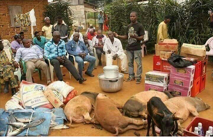 AfricaFactsZone's tweet photo. Bride price in some places in Nigeria 🇳🇬 https://t.co/HsxerRJ1W1