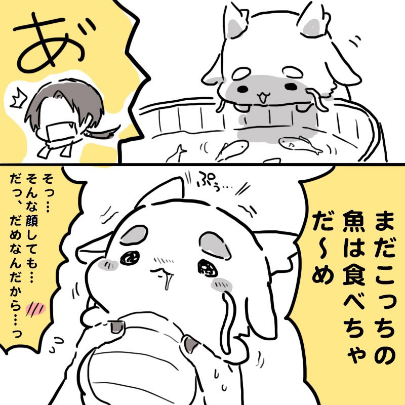 審神者東洋竜さんの加州さんの池の鯉攻防戦まとめです!
