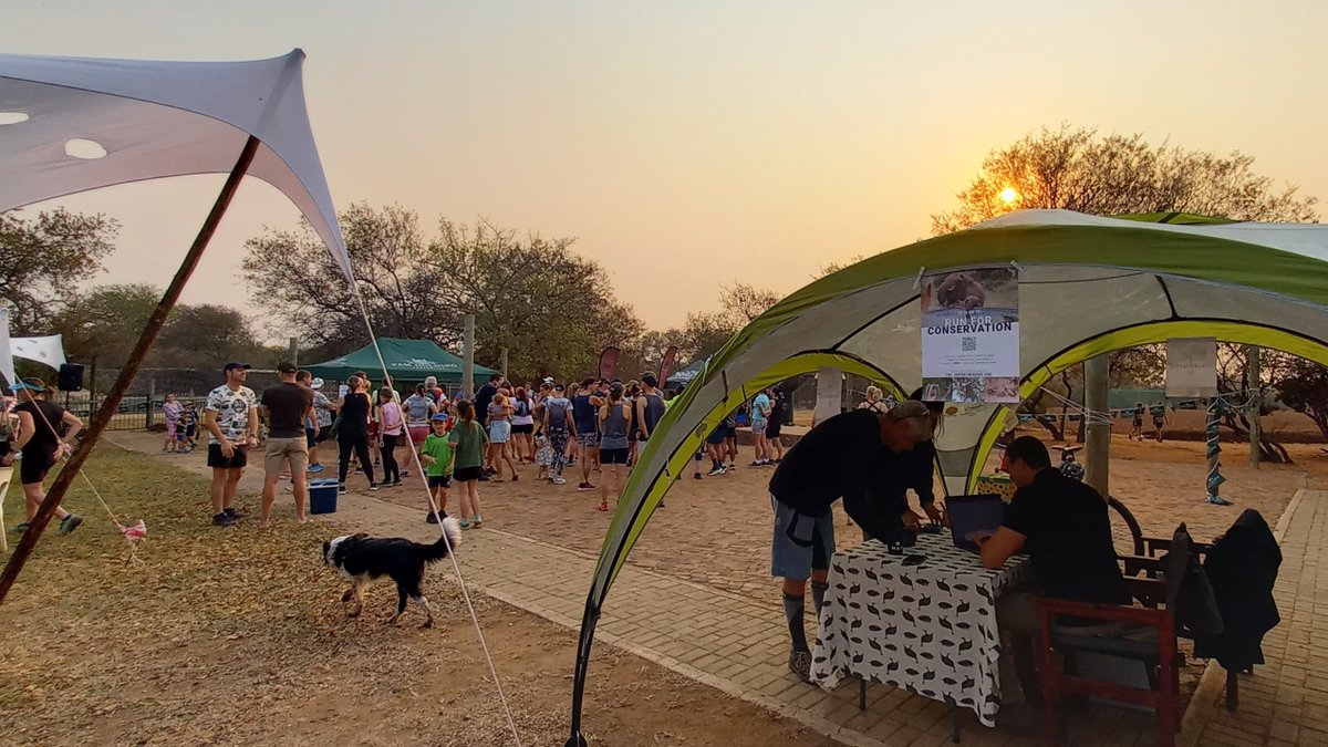Well done to everyone who took part in the #Hoedspruit #Lowveld Trail Run yesterday! 
And thanks to Isambane Camp for raising R16 400 for @TheEWT's Raptor Emergency Fund at this event!

@gauntlet_bop #greaterkruger #vultures #conservation #birdsofpreyprogramme