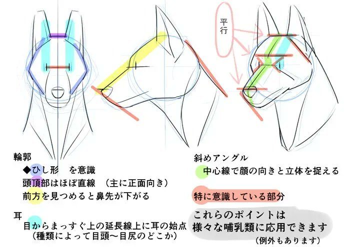 ichiup_net's tweet photo. 身体の仕組みから考える！ 獣人を描き方講座🐶 

特に違和感が出やすい「ヒトの骨格」に「リアルな動物の頭」を融合したタイプをメインに解説します🐾

https://t.co/hav60CPIfO 
#絵が上手くなる記事はコレ https://t.co/TAdGG59qVZ