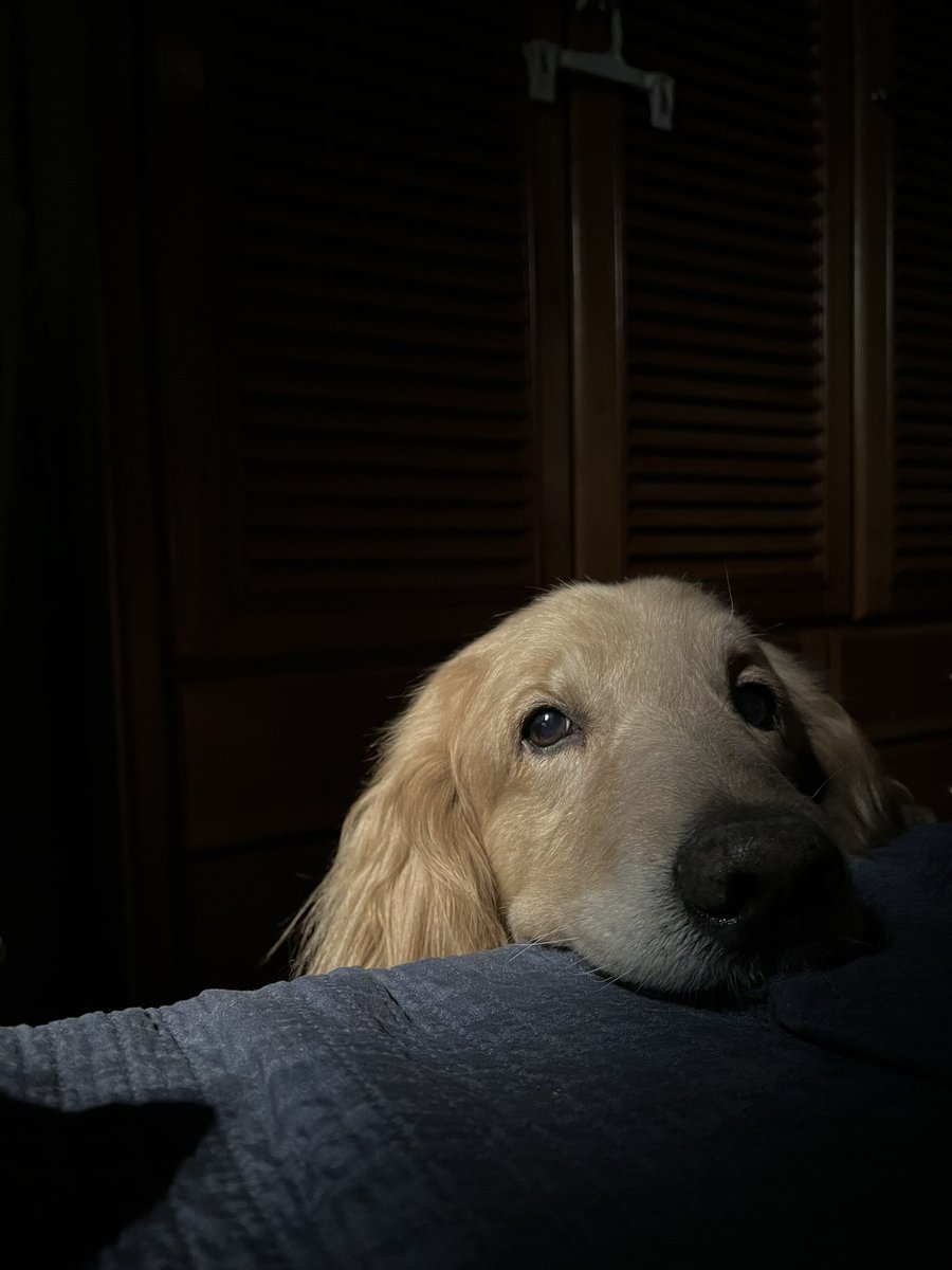 mariamelia tweet media