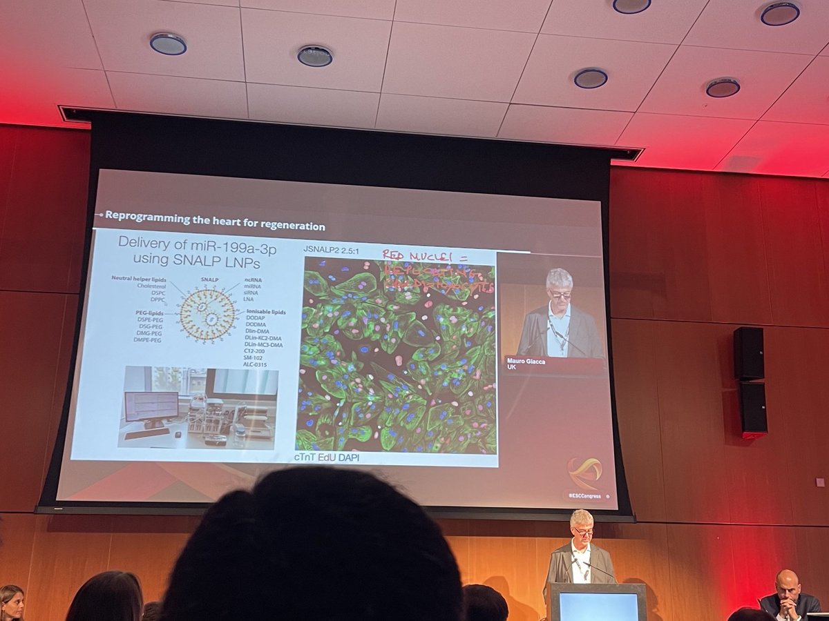 Vascular Biology (@vascularbiol) on Twitter photo To start us off, <a href="/GiaccaMauro/">Mauro Giacca</a> spoke about reprogramming the heart for regeneration. Discussing cardiomyocyte proliferation and small RNA therapeutics. Interesting questions on the delivery method followed #ESCCongress, #ESC2023 #BasicScience To start us off, <a href="/GiaccaMauro/">Mauro Giacca</a> spoke about reprogramming the heart for regeneration. Discussing cardiomyocyte proliferation and small RNA therapeutics. Interesting questions on the delivery method followed #ESCCongress, #ESC2023 #BasicScience