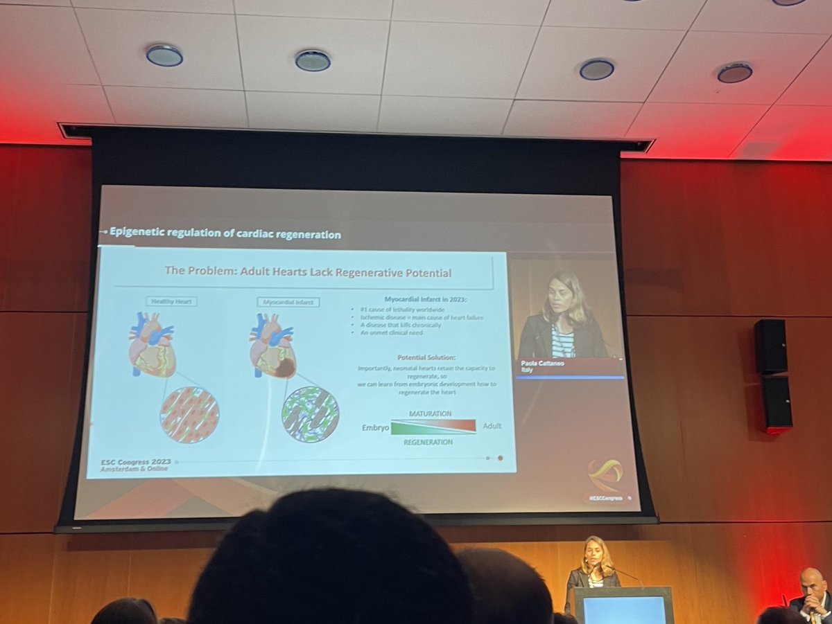 Vascular Biology (@vascularbiol) on Twitter photo <a href="/GiaccaMauro/">Mauro Giacca</a> @PaulaCatteneoIT followed up with her incredibly interesting talk on the importance of Dot1L in cardiac regeneration in neonates. We’re definitely excited to read more of her research! #ESCCongress2023, #ESC2023 #BasicScience <a href="/GiaccaMauro/">Mauro Giacca</a> @PaulaCatteneoIT followed up with her incredibly interesting talk on the importance of Dot1L in cardiac regeneration in neonates. We’re definitely excited to read more of her research! #ESCCongress2023, #ESC2023 #BasicScience