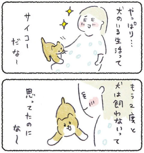 最初の犬が教えてくれたこと
https://t.co/GZcPyXzo3f 