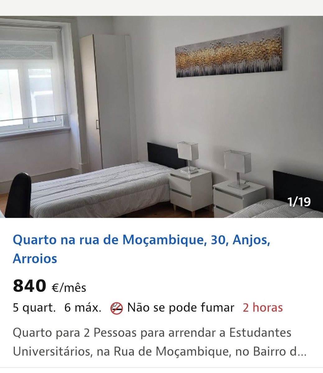 Quantos colocados em Lisboa é que vão desistir de ir para a faculdade por não conseguirem um quarto sem venderem um rim? Isto é absolutamente nojento.