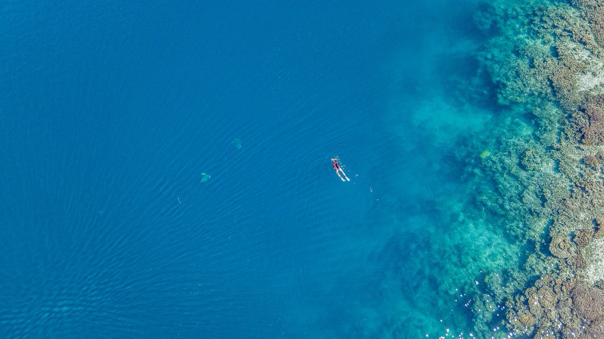 Le Lagon de #Mayotte me manque, dernière sortie 13/04, prochaine 08/09...
#oceanindien #turtle #boat #sealife #coral #Reef