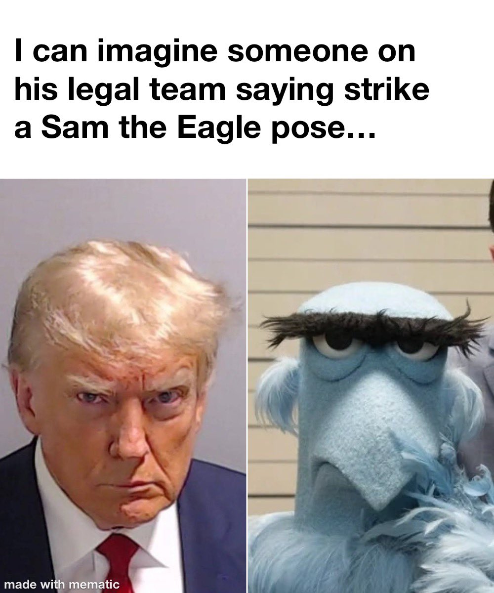 ianadey's tweet photo. Look serious… #Trump #muppets #samtheeagle https://t.co/SfCeMbZ6DL