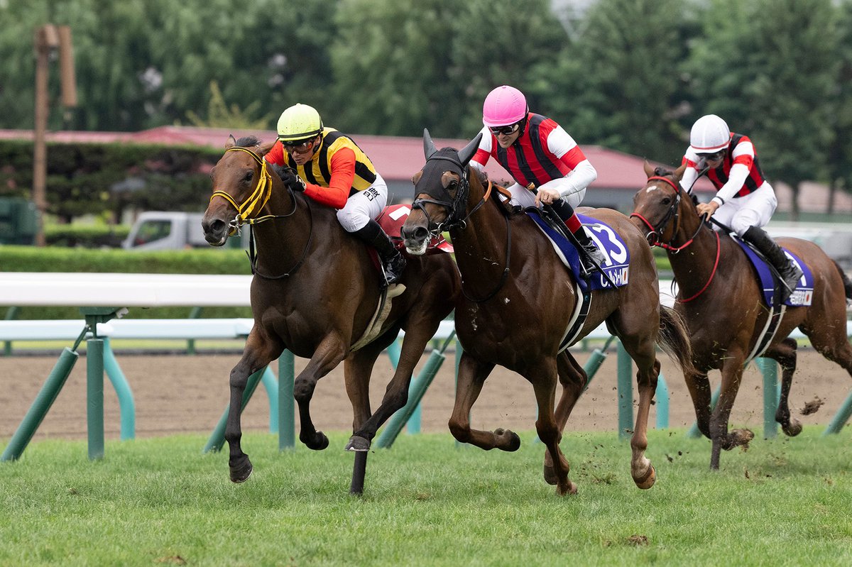 Badel wins final leg of World All-Star Jockeys series, ranks fifth overall. #HKracing Read here 👉 racingnews.hkjc.com/english/2023/0…