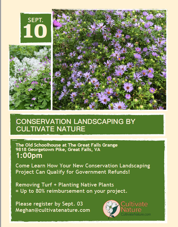 Plant NoVA Natives (@novanatives) on Twitter photo 