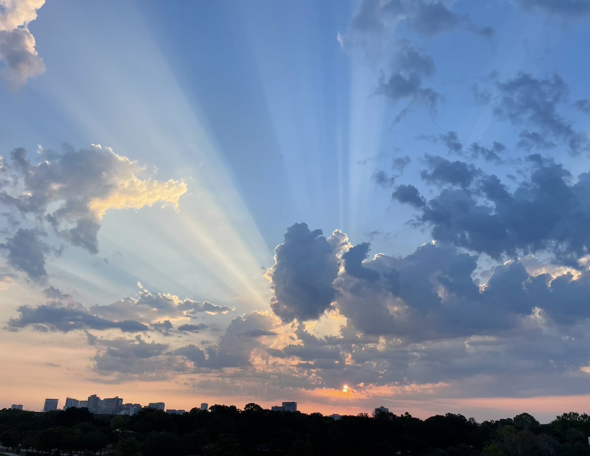 Dr. Lynn Zechiedrich tweet media