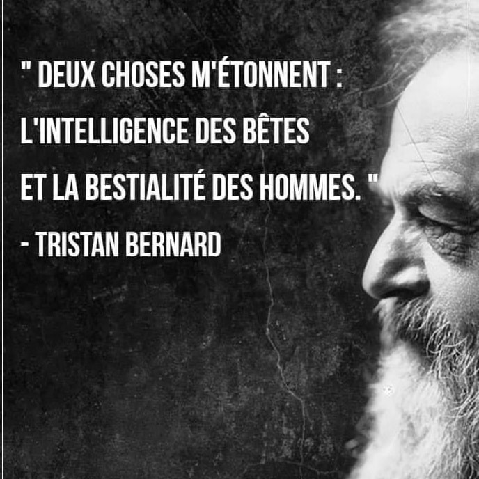Loovenelle's tweet photo. https://t.co/CgyPu19EvN