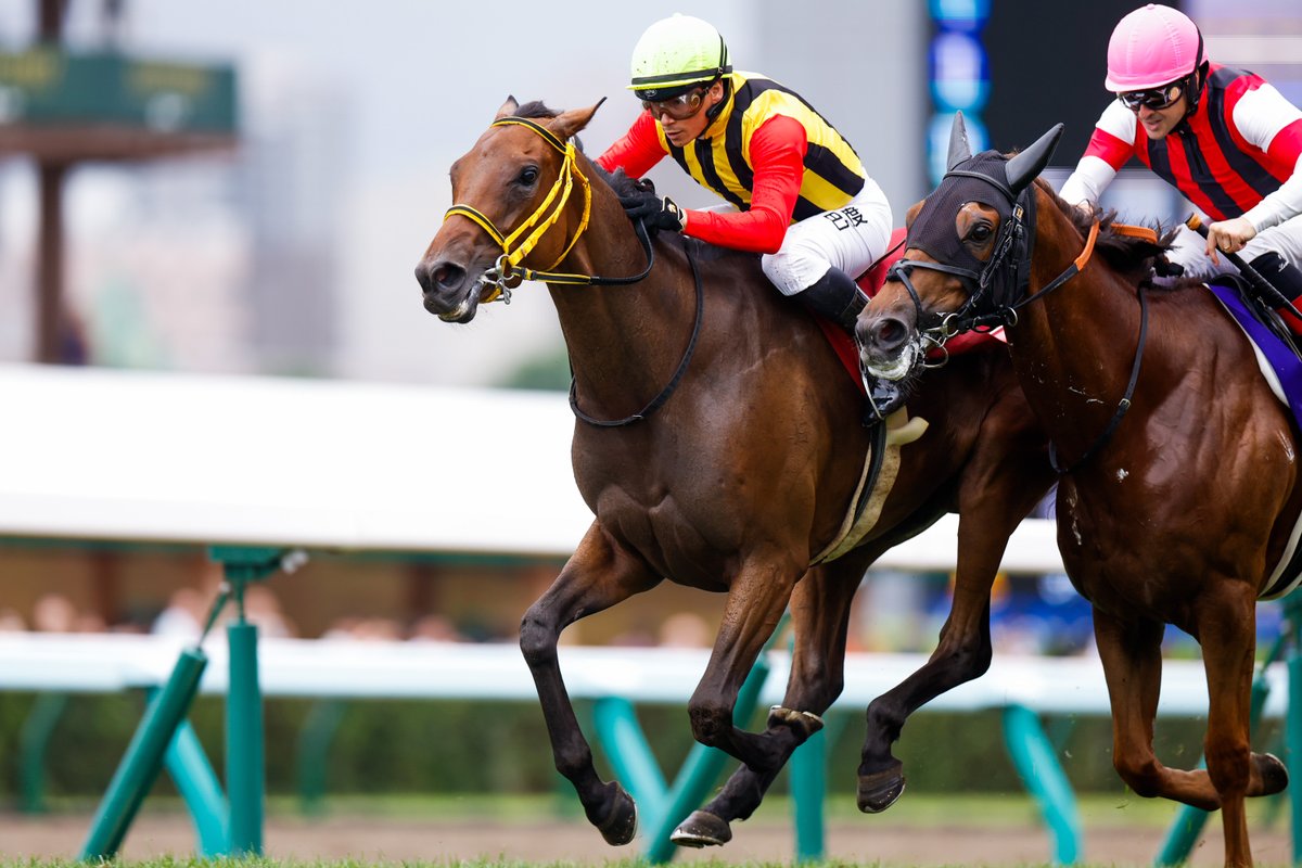 netkeiba tweet media