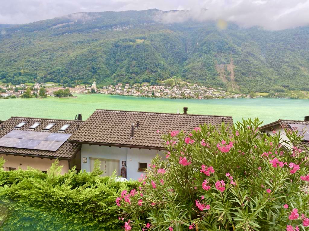 Quello laggiù non è un pascolo per le mucche. È il lago di #Lugano 😐🟢