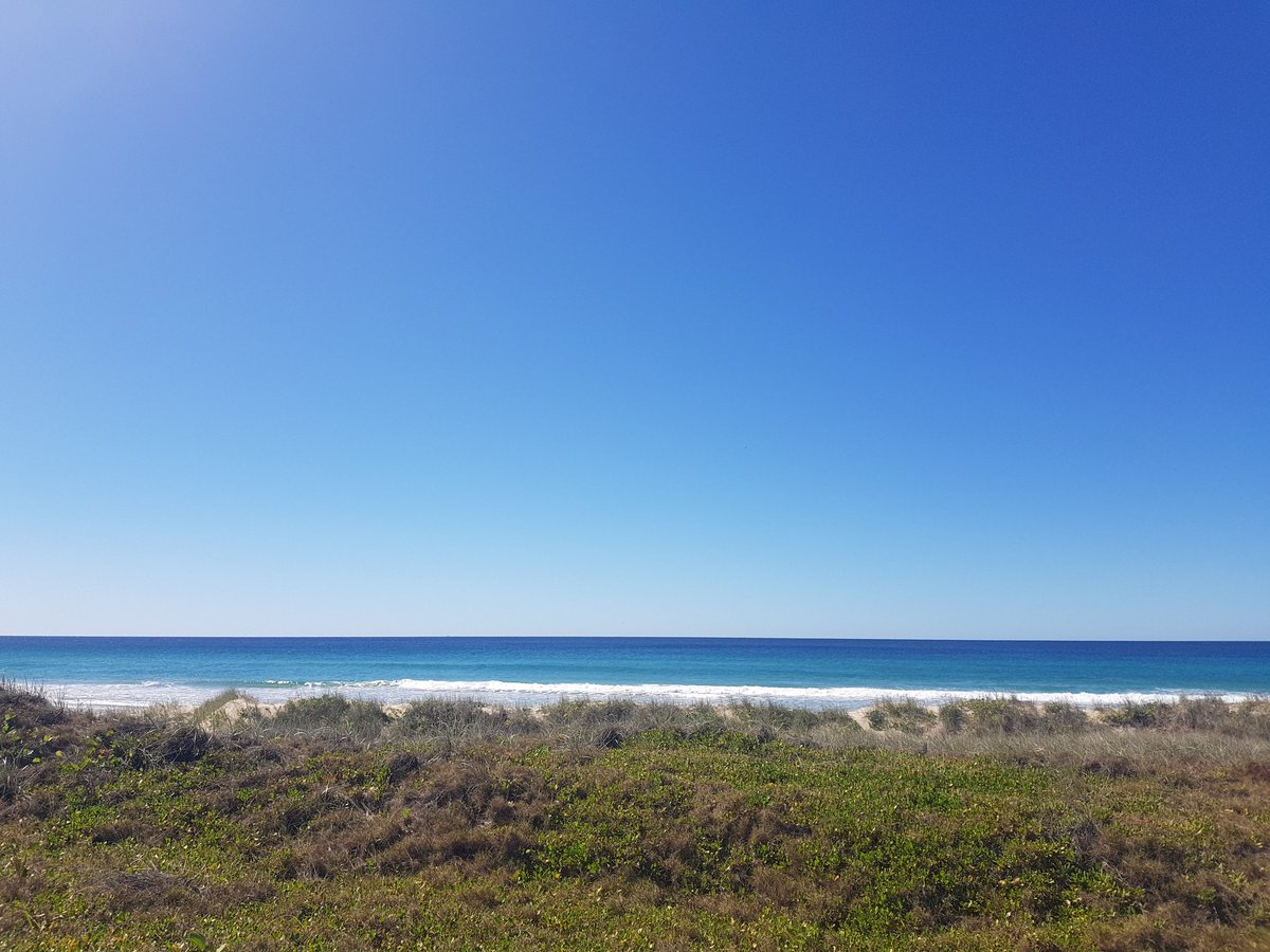 Midgimm's tweet image. Whale watching.

It's been gooood.