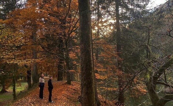 longing for the fall weather 🍂