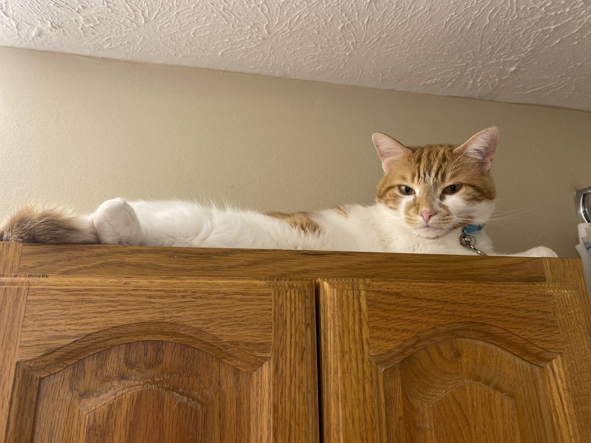 I was on my cabinet