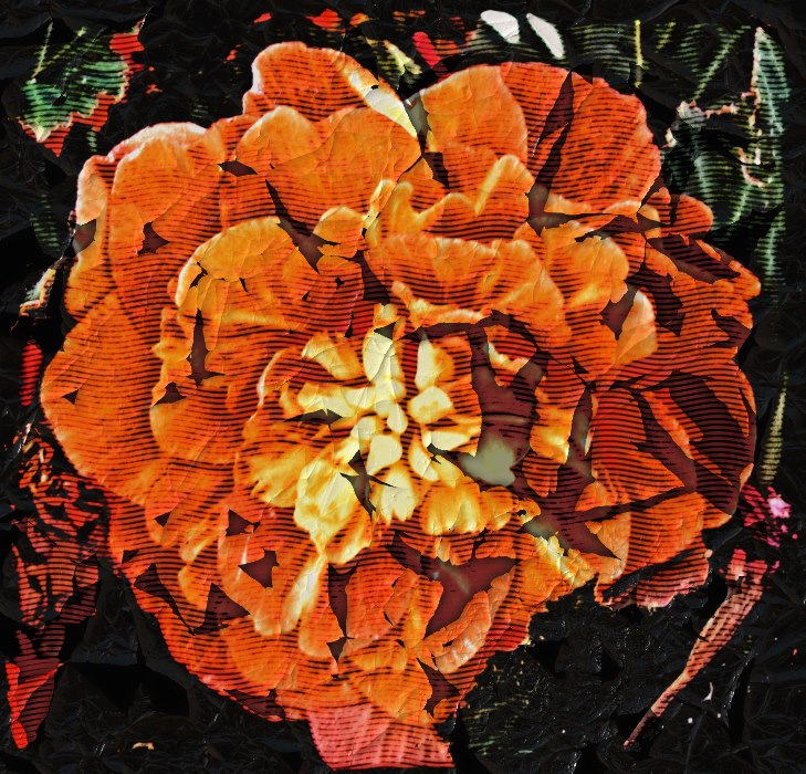 Meepsia's tweet image. 2) I bought #FilterForge 11 years ago today, and that red flower was the first one to have to &apos;suffer&apos; because of that 🙃 ☺️ 🙃

#JohnnyDepp #Photoshop