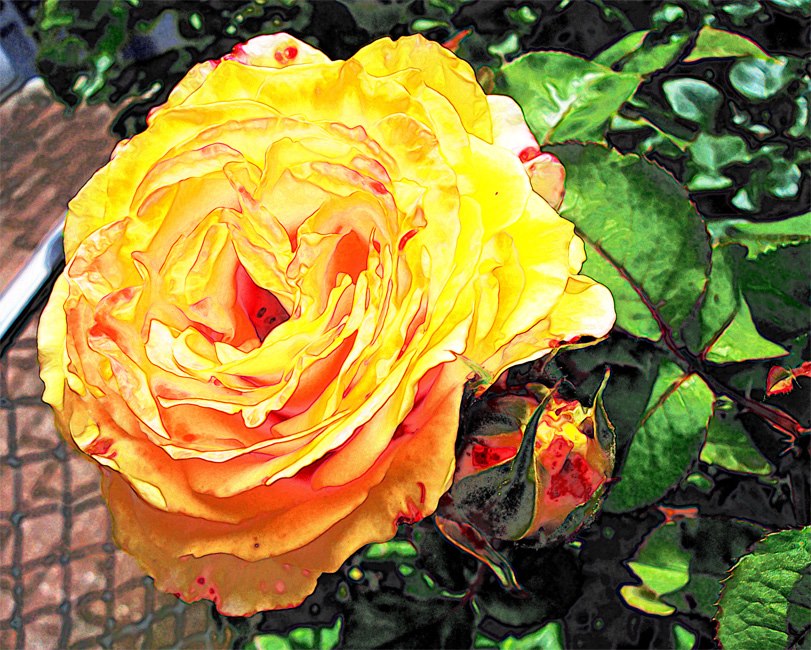 Meepsia's tweet image. 2) I bought #FilterForge 11 years ago today, and that red flower was the first one to have to &apos;suffer&apos; because of that 🙃 ☺️ 🙃

#JohnnyDepp #Photoshop