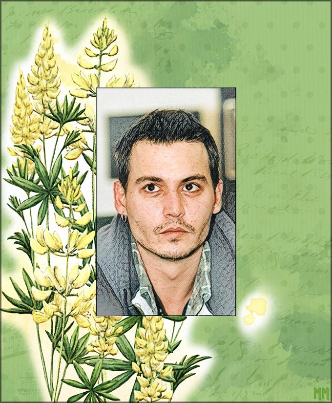 Meepsia's tweet image. 2) I bought #FilterForge 11 years ago today, and that red flower was the first one to have to &apos;suffer&apos; because of that 🙃 ☺️ 🙃

#JohnnyDepp #Photoshop