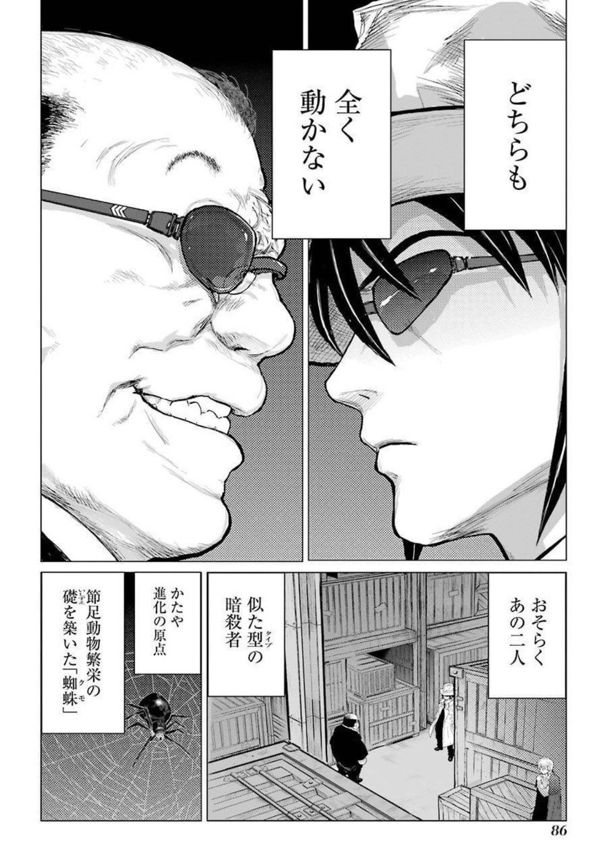 アリとクモはどっちが強いのか(2/7) 