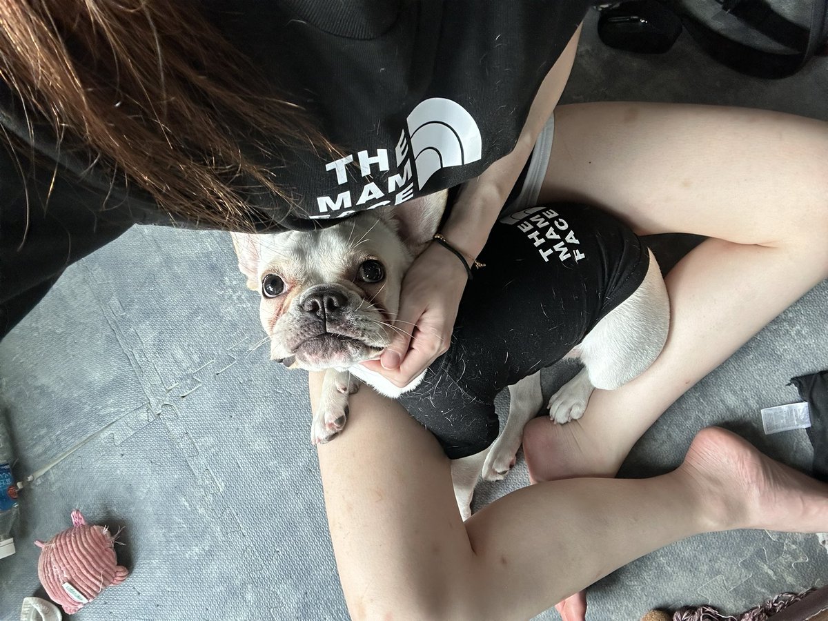 crazy_queens's tweet photo. おそろい🐶🤍 https://t.co/4EFuBIzULW