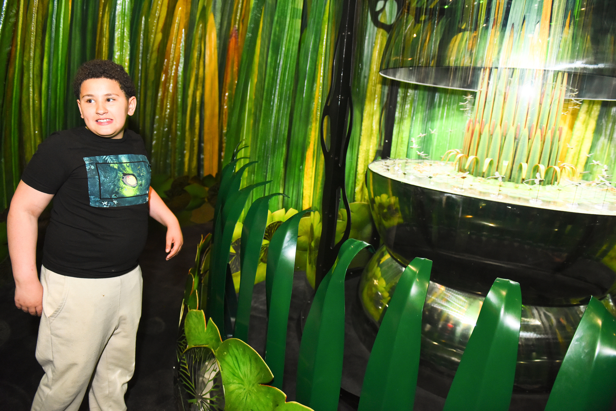 DenverMuseumNS's tweet photo. Today (8/27) is the last day to step into the world of bugs! "Bugs" inspires us to be curious about the tiny-but-mighty creatures among us, appreciative of the vital role they play in nature, and energized to help them thrive. https://t.co/JdWfyEzEW6 #finalday #bugsatdmns https://t.co/mFo31sciQp