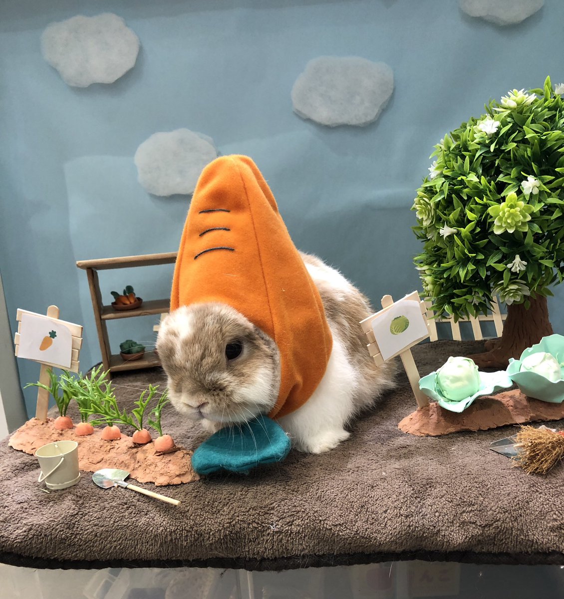 にんじんを食べすぎた
うさぎさんの末路