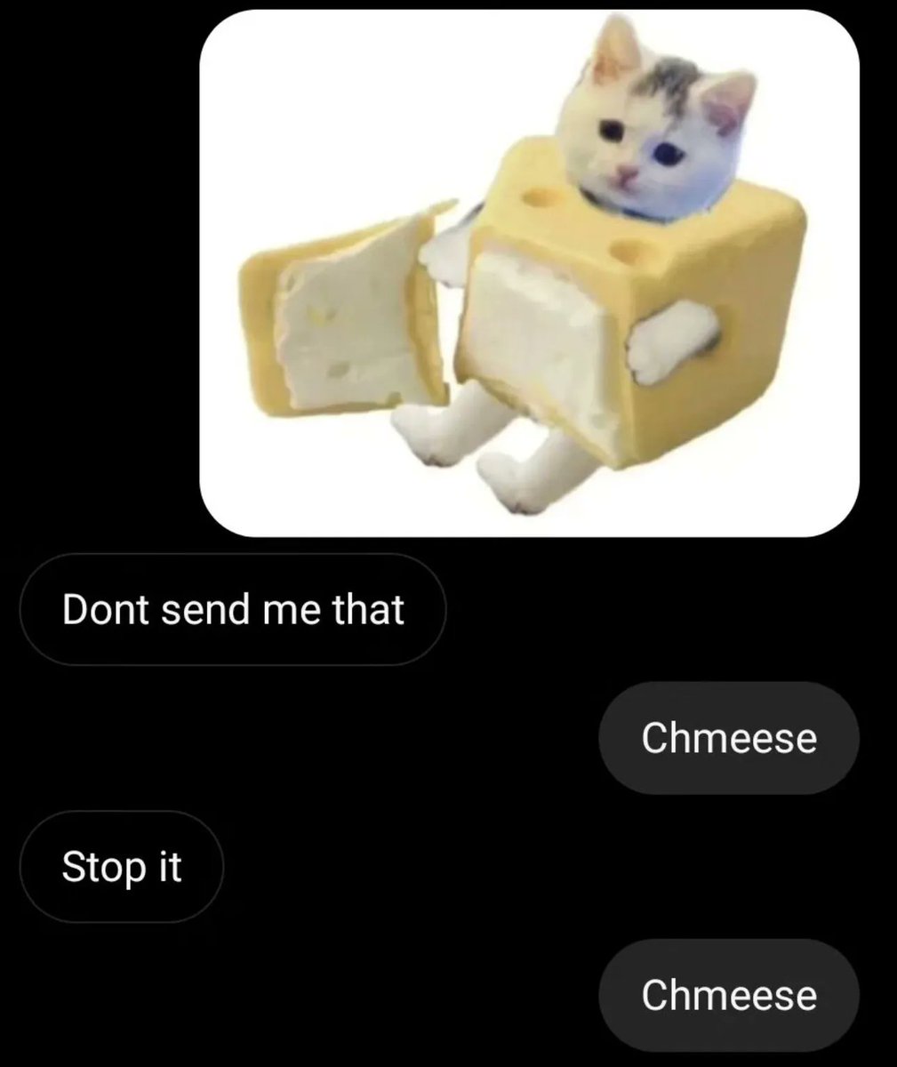 PostsOfCats's tweet image. 