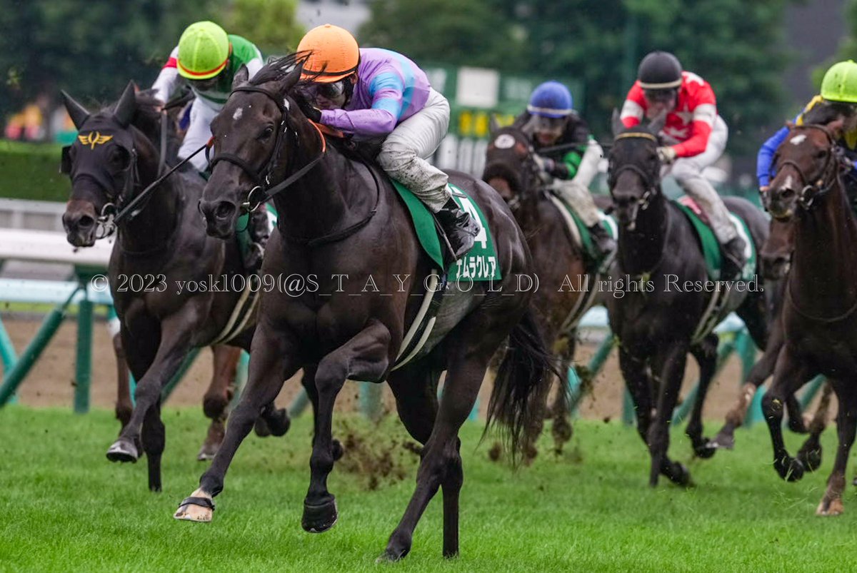 S_T_A_Y_G_O_L_D's tweet photo. 2023年8月27日
第18回 #キーンランドカップ
#KeenelandCup
優勝馬 #ナムラクレア ( #NamuraClair )号
父 #ミッキーアイル
母 #サンクイーンII
騎手 #浜中俊
調教師 #長谷川浩厩舎
オーナー #奈村睦弘 さま
生産者 #谷川牧場 さま
#札幌競馬場
#SapporoRaceCourse https://t.co/cxz3INd6ln