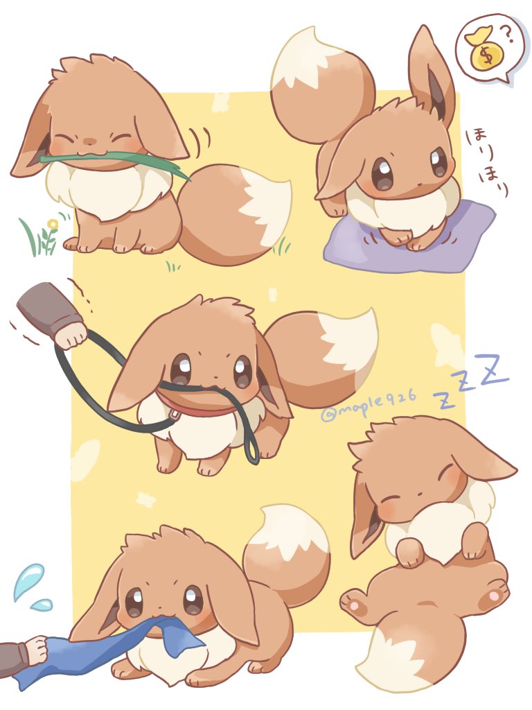 わんこみたいなイーブイ