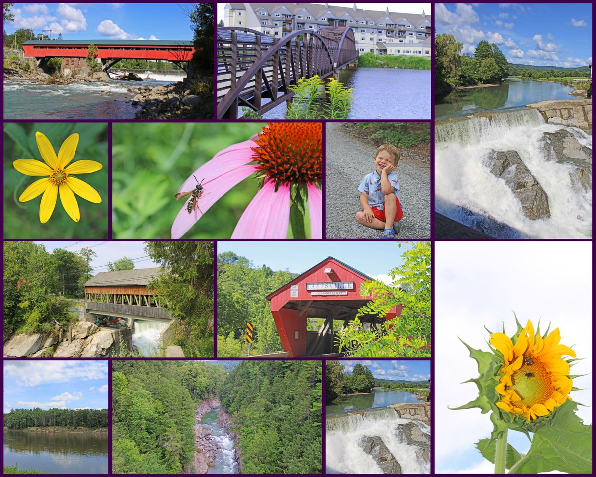 'Look deep into nature, and you will understand everything better!'

-Albert Einstein

#nature #naturephotography #naturelovers #love #summer #happiness #outdoors #bridge #coveredbridge #flowers #waterfall #livelife #life #vacation #summertime #photography #photographer