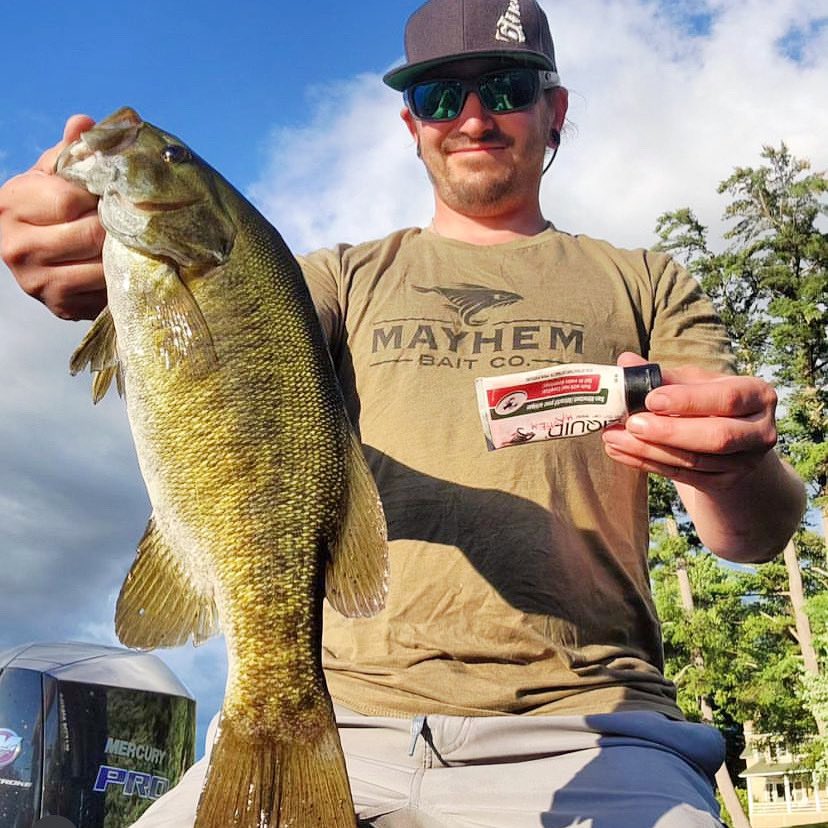 Liquid Mayhem tweet media