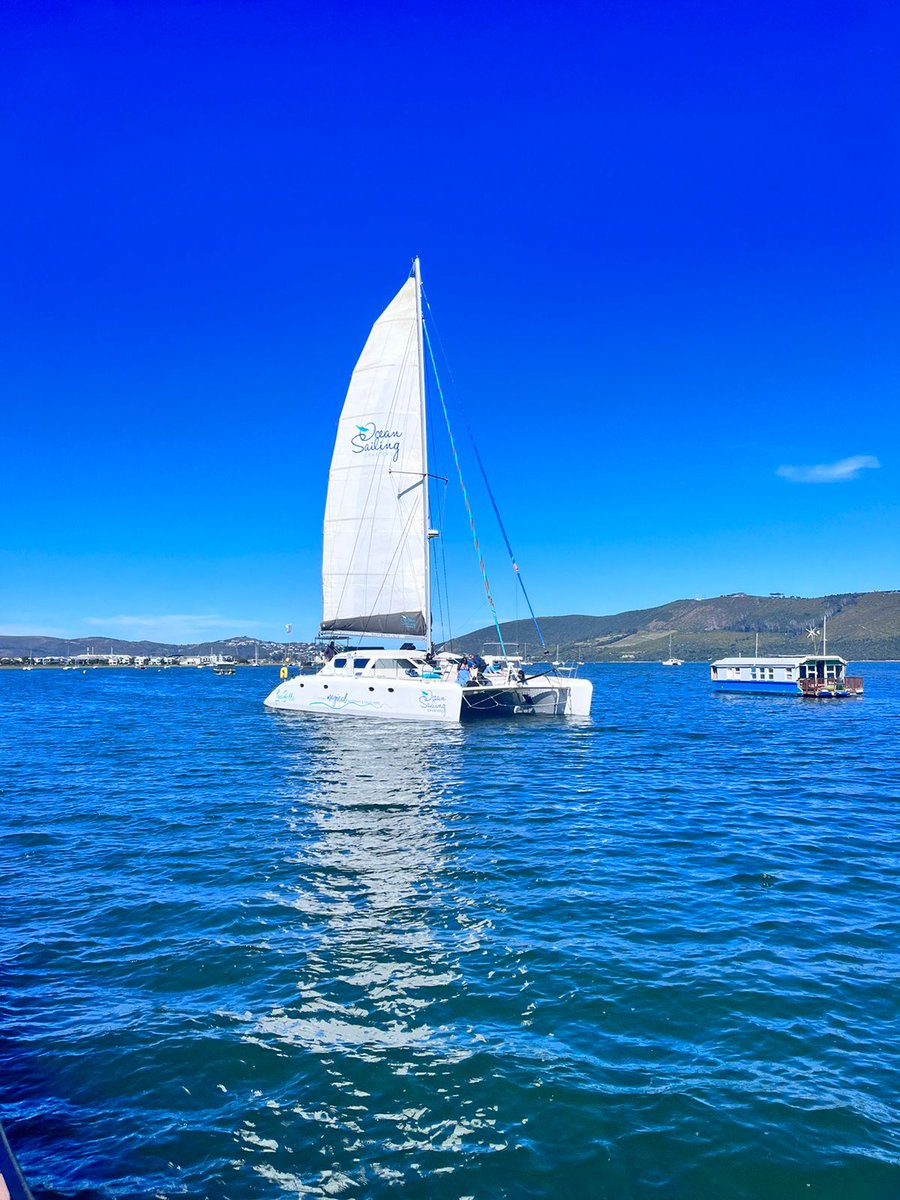 Ocean Sailing Charters tweet media