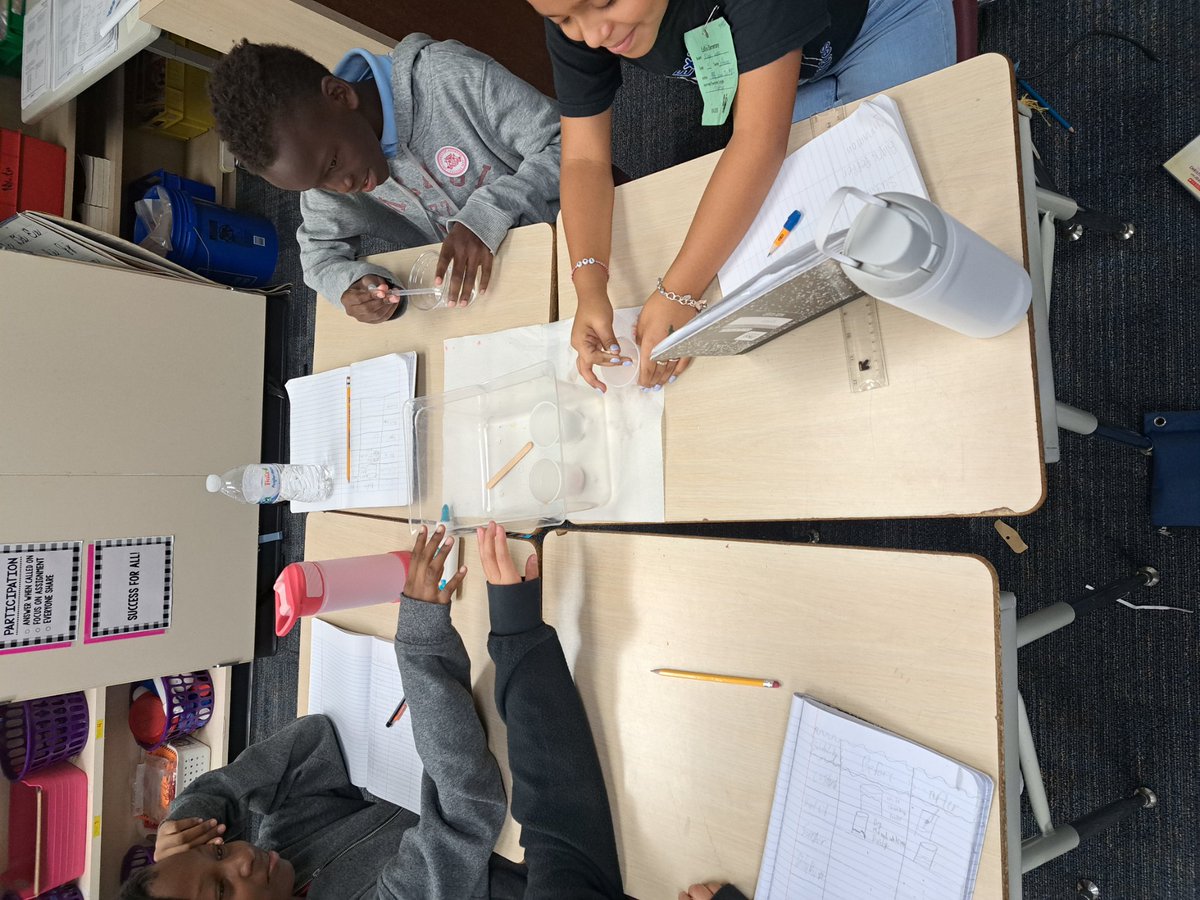 Tanula Godeau tweet media